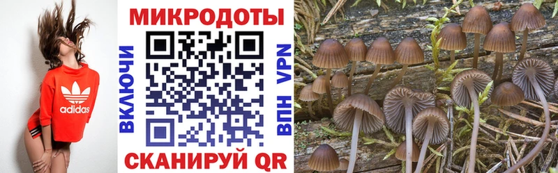 купить наркотик ссылка на мегу ссылка Псилоцибиновые грибы Cubensis Буинск